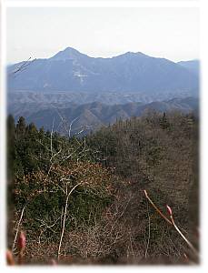 観音山から望んだ武甲山と小持山