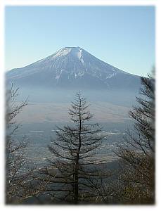 登山道から見た富士山