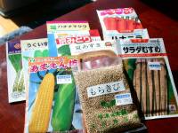 種が来た