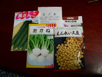 種その２