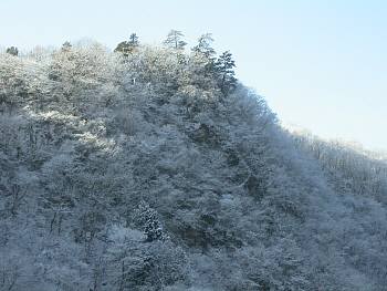 雪景色