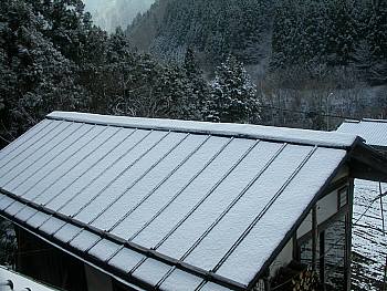 今朝の雪
