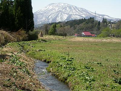 春の小川