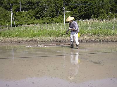 泥均し