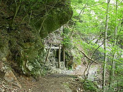 豆焼沢の神社