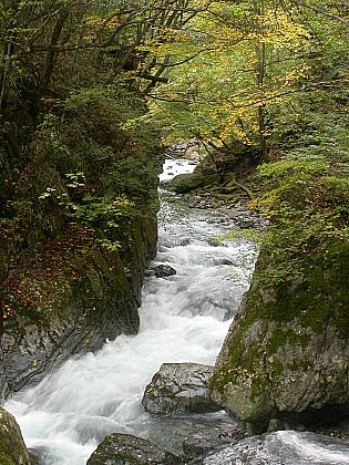 増水した入川
