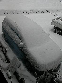 降雪