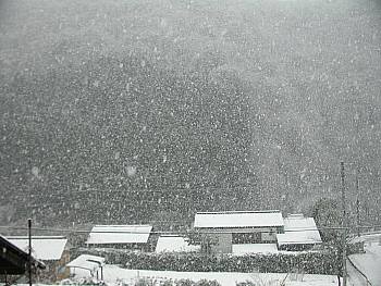 雪降り積む