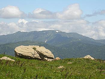 平ヶ岳