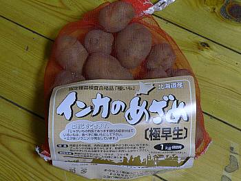 インカのめざめ