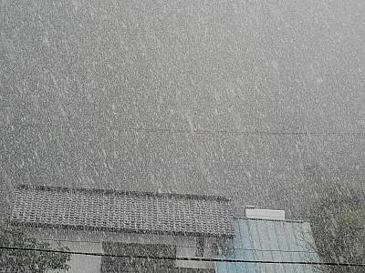 風花