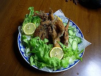 鰯