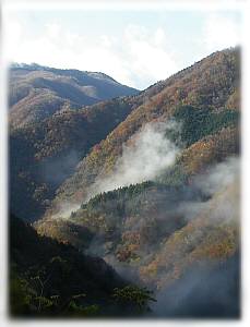 朝の大洞谷